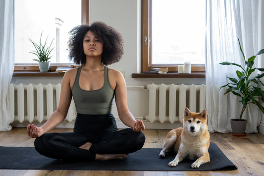 toned and fit woman with dog, woman with beautiful appearance